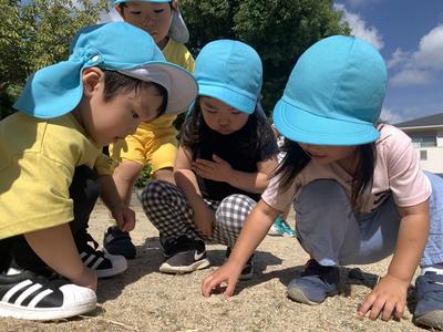 2歳児クラス【１０月】